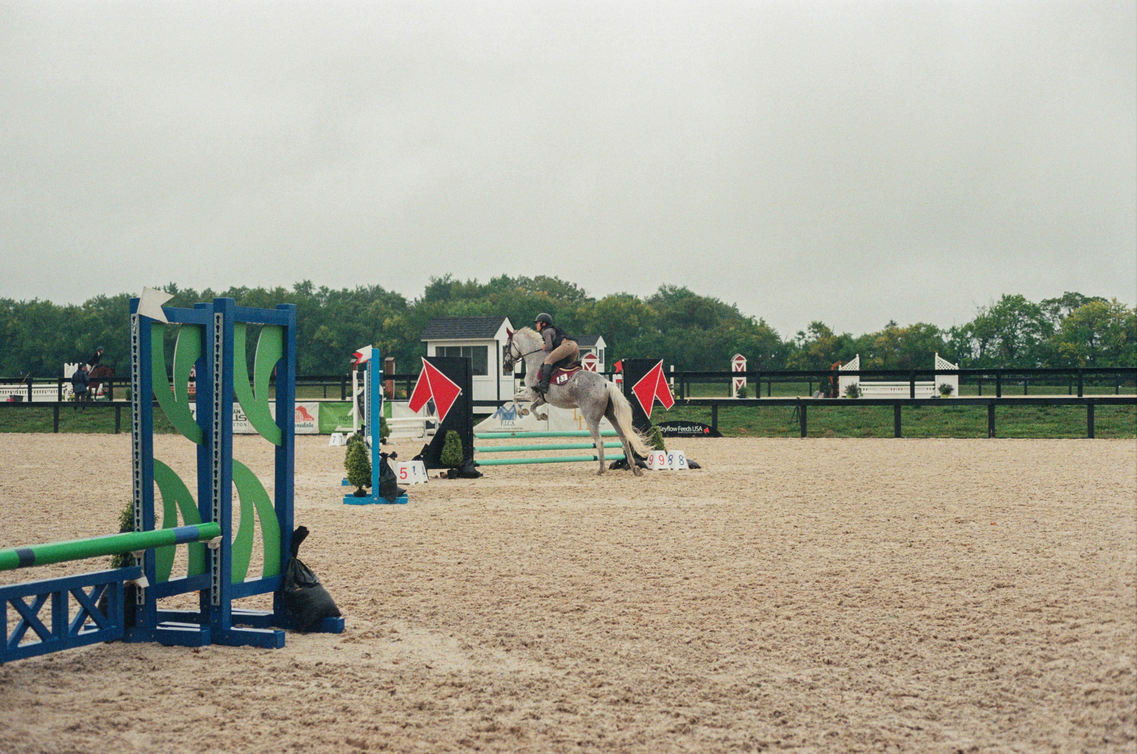 Horse jumping over an obstacle in an equestrian arena with trees in the background